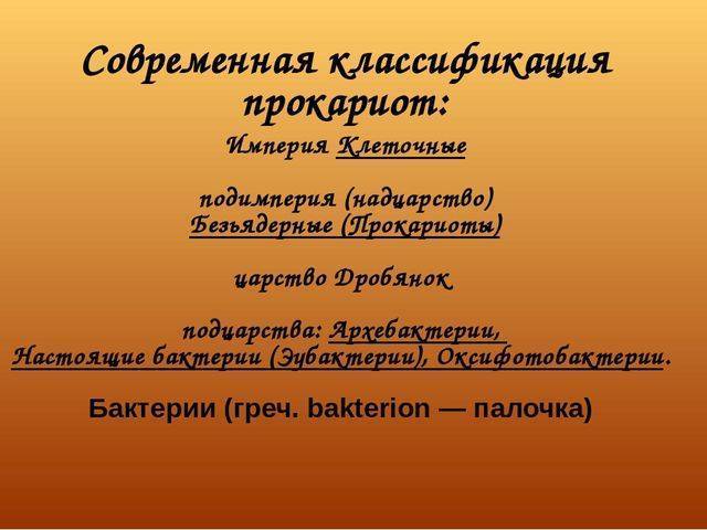Принцип и задачи систематики бактерий