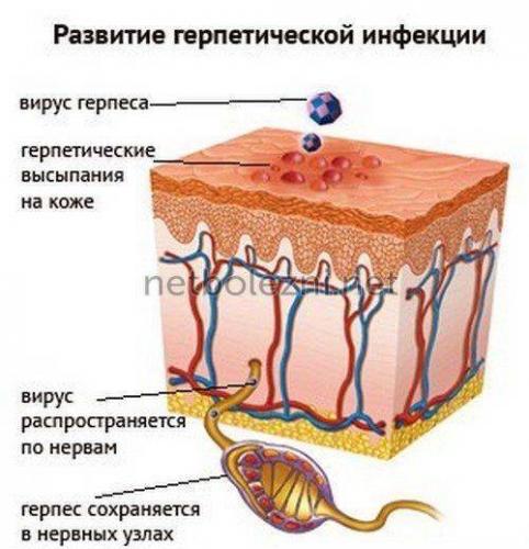 Чем мазать болячки в носу: причины их появления и лечение