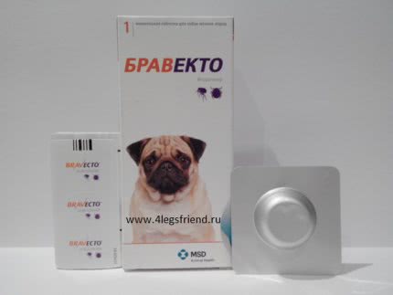 Бравекто спот он для собак: капли на холку