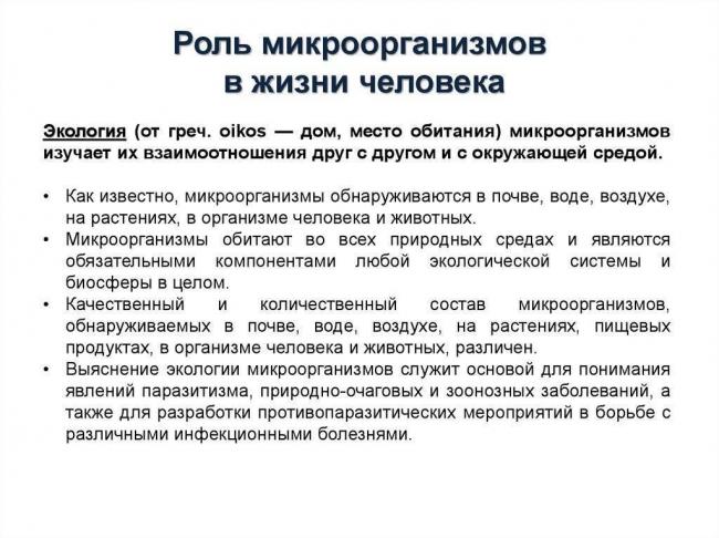 Важность роли бактерий и грибов в биоценозах земли