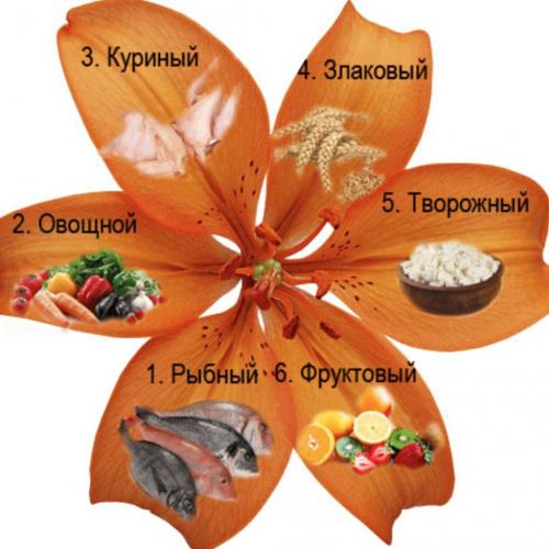 Диета 6 лепестков отзывы и результаты фото до и после