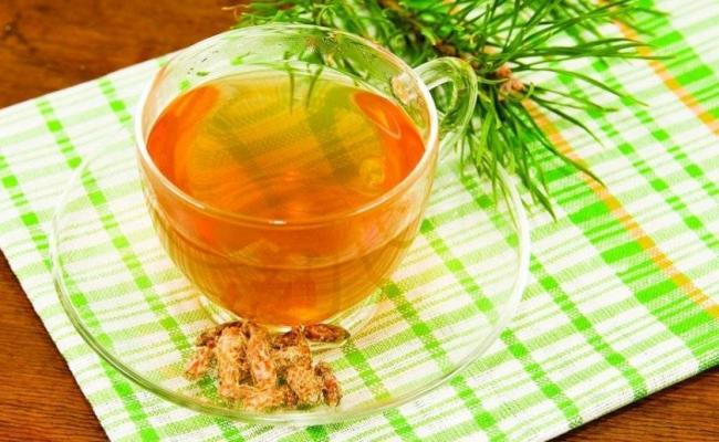 Сосновые почки от кашля детям