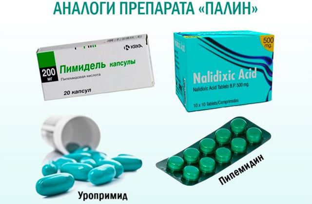 Палин