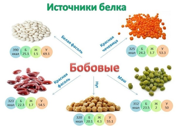 Витаминно-белковая диета для похудения
