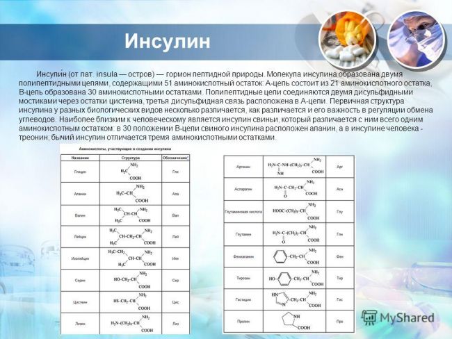 Список гормонов которые вырабатывает поджелудочная железа и их функции