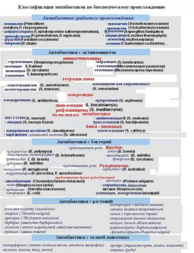 Особенности и принципы выделения чистых культур бактерий
