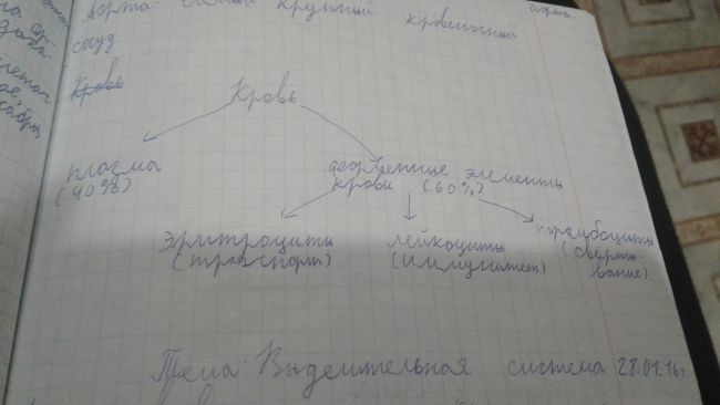 Форменные элементы крови