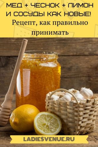 4 эффективных рецепта для чистки сосудов с помощью клюквы, чеснока и меда