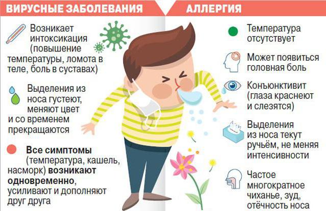 Аллергический ринит: симптомы и лечение у взрослых