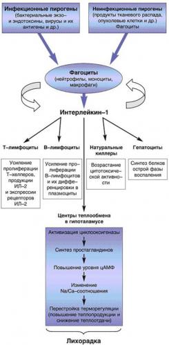 Тесты нмо/основы лекарственной помощи — викиучебник