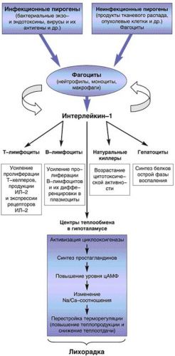 Гормон адреналин - за что он отвечает? что такое норадреналин?