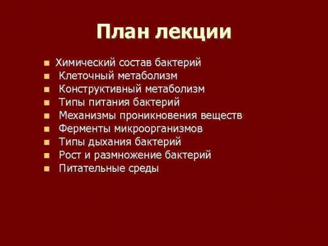 Бактерии: питание, дыхание, ферменты и пигменты. фото