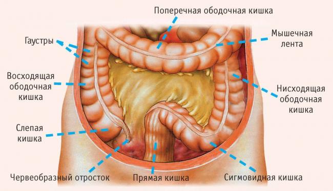 Инструкция по применению МЕТЕОСПАЗМИЛ METEOSPASMYL