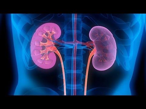 Эффективные таблетки и капли для выведения камней из почек