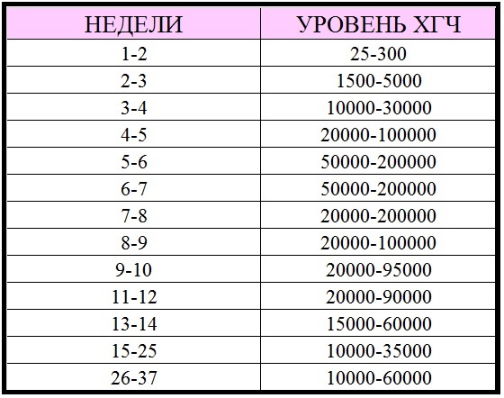 Хгч при беременности: норма по неделям (таблица)
