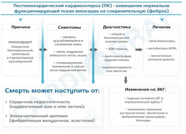 Атеросклеротический кардиосклероз причины