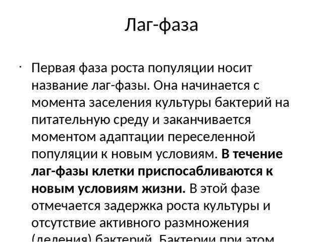 Рост и размножение бактерий