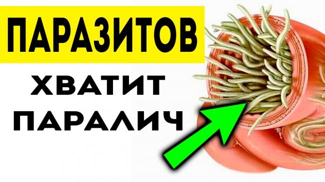 Какие продукты убивают паразитов