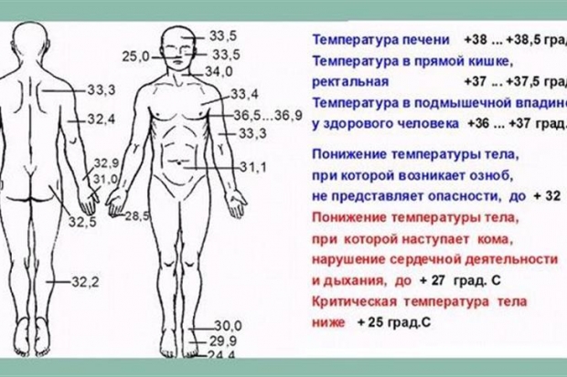 Что делать при низкой температуре тела у человека: 36, 35, 34 и 33 градуса