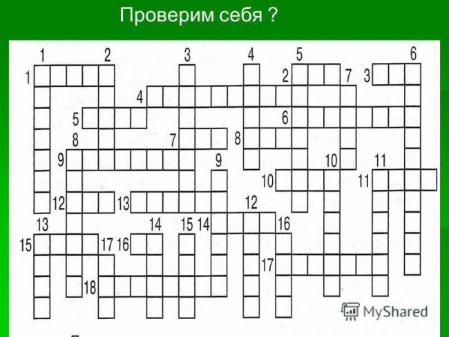 Царства бактерий и грибов: друзья или враги человеку?