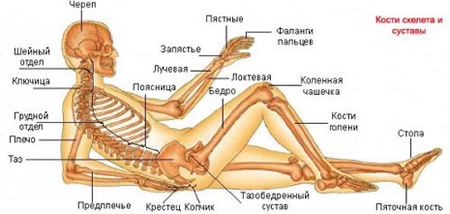 Особенности диагностики и лечения остеоартроза суставов стопы