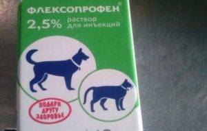Как колоть Флексопрофен для кошек