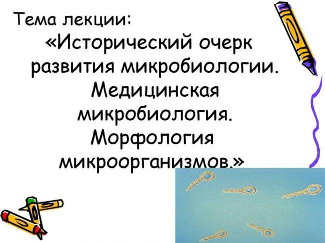 Способы классифицирования бактерий, основанные на изучении их морфологии