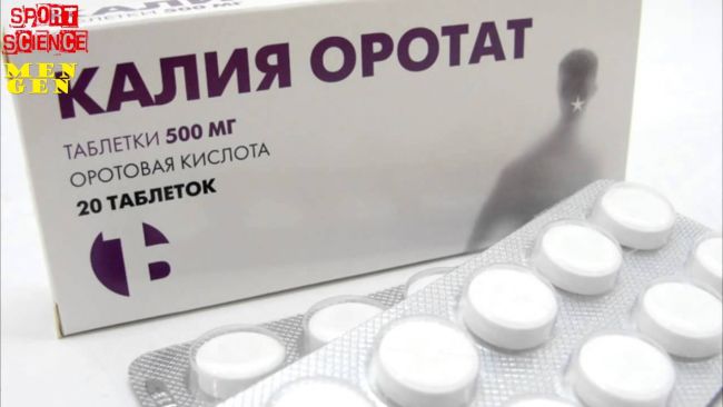 Витамин в13 оротовая кислота для организма человека − чем помогли отходы винного производства?