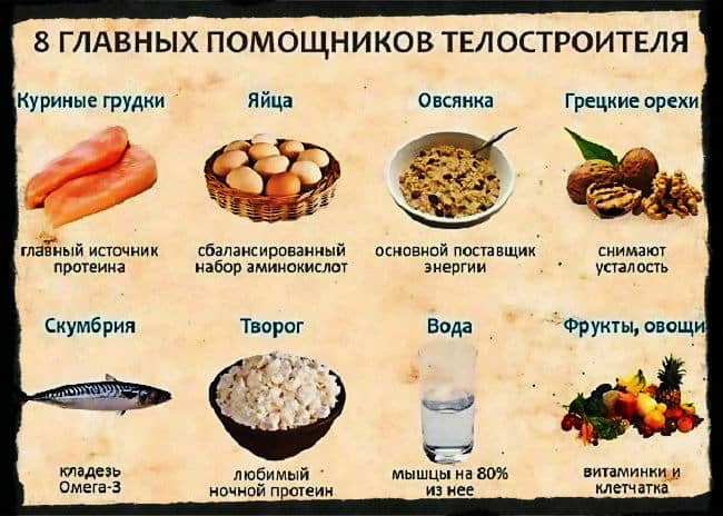 Питание для эндоморфа: советы полным!