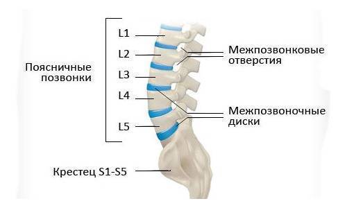 Как лечить протрузию дисков l4-l5 и l5-s1