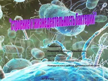 Неклеточные формы жизни. вирусы и бактериофаги