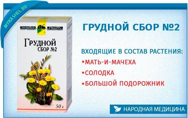 Грудной сбор №4: составляющие, при каком кашле пить, дозировка, противопоказания