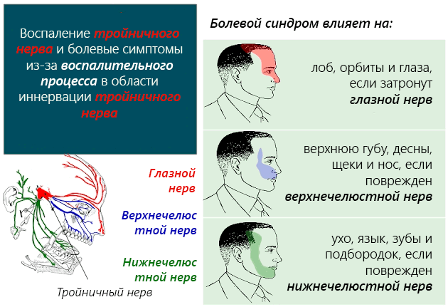 Немеет кожа головы и появляются “мурашки” с одной стороны или в разных частях: каковы причины и методы диагностики, а также что делать, если вы это обнаружили?