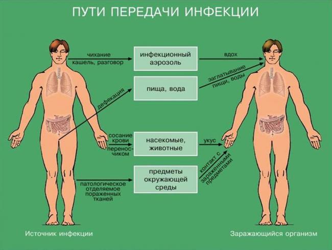 Синовит: симптомы и лечение синовита коленного сустава, тазобедренного сустава