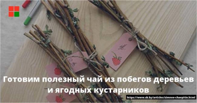 Использование листьев малины для оздоровления детей