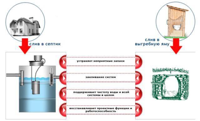 Бактерии для септика