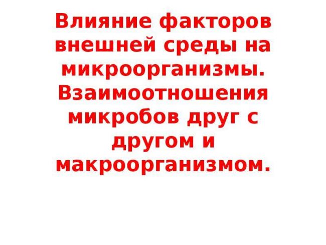 Что делают различные бактерии в нашей жизни