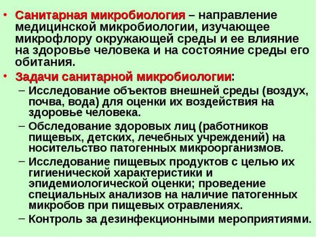 Плохие или хорошие: бактерии вокруг нас