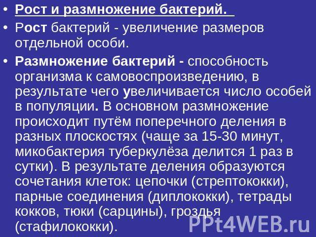 Фазы жизни и роста бактерий