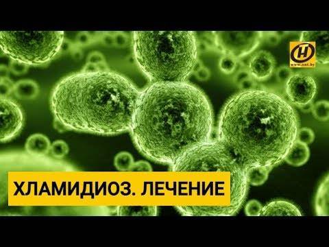 Хламидиоз (хламидийная инфекция) - симптомы болезни, профилактика и лечение хламидиоза (хламидийной инфекции), причины заболевания и его диагностика на eurolab