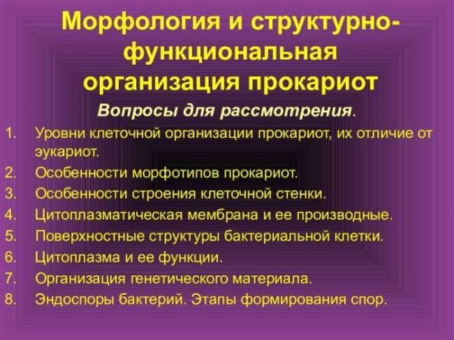Каково строение бактериальных клеток, или все ли так просто, как кажется