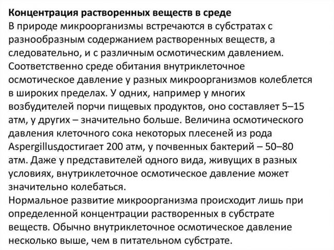 Раскрываем секрет, в каких продуктах содержатся пробиотики