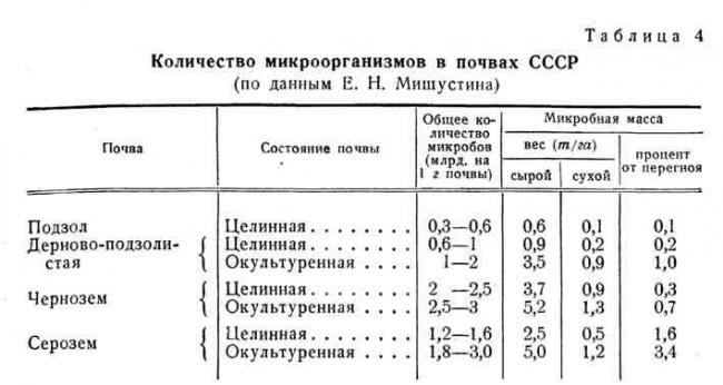Биоценоз - это что? структура биоценоза: пространственная и видовая. важность роли бактерий и грибов в биоценозах земли