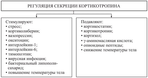 Адренокортикотропный гормон — википедия с видео // wiki 2