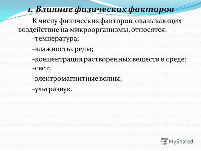 Молочнокислые бактерии — маленькие помощники большого организма