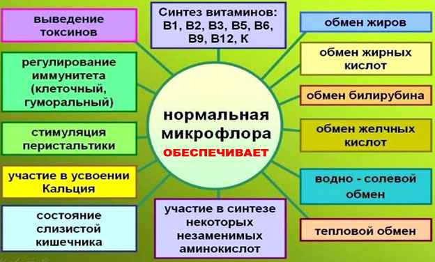 Подготовка к колоноскопии кишечника «фортрансом»: инструкция, диета и полезные советы