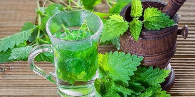 Какие травы помогают от кашля, травы при различных видах кашля