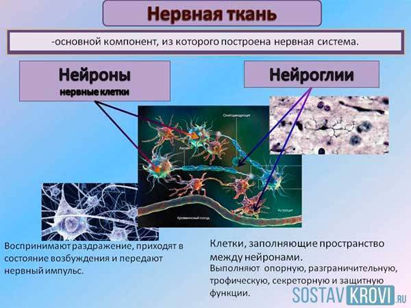 Глиоз головного мозга: лечение, причины, очаги