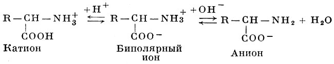 Глава 12. α-аминокислоты, пептиды и белки