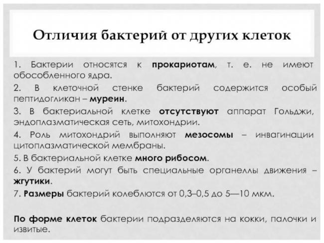 Способы классифицирования бактерий, основанные на изучении их морфологии
